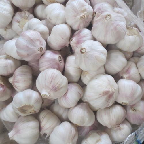 金乡县华光食品进出口 从农副食品起步，走向全球化贸易