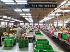 烟草行业的双重担当 以稳就业助农增收的深层启示