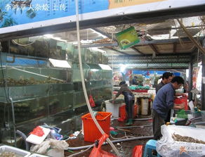 探访深圳锦绣大地农副产品批发市场 海鲜档的鲜活匠心